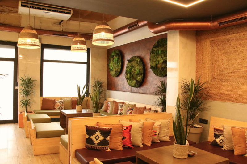 The Barcelona Cannabis Club The Barcelona Cannabis Club